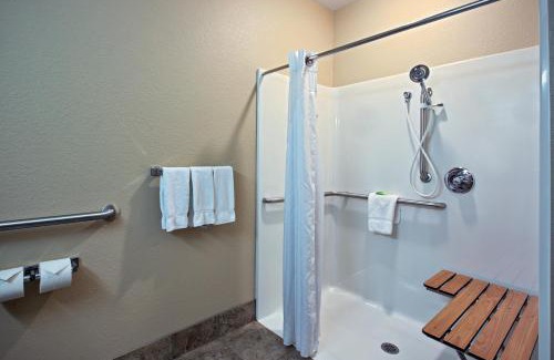 Bellevue Hotel | Holiday Inn Express & Suites - Green Bay East by IHG