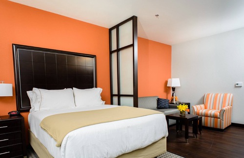 Gateway Hotel | Holiday Inn Express & Suites Austin NW - Arboretum Area by IHG