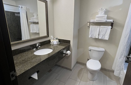 Chalco Hotel | Holiday Inn Express & Suites Omaha I-80 by IHG