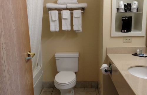 Napoleon Hotel | Holiday Inn Express Toledo West - Napoleon by IHG