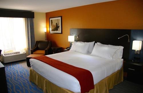 Airport Township Hotel | Holiday Inn Express & Suites St Louis Airport by IHG