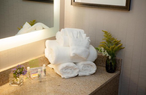 Greenville Hotel | Holiday Inn Greenville by IHG