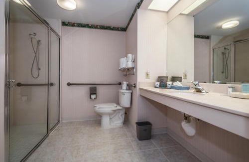 United Central Hotel | Holiday Inn - St. Petersburg West by IHG