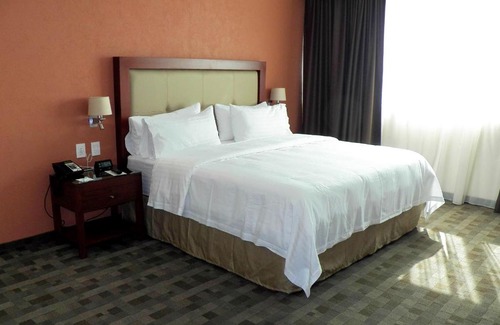 Leon Hotel | Holiday Inn & Suites Plaza Mayor by IHG