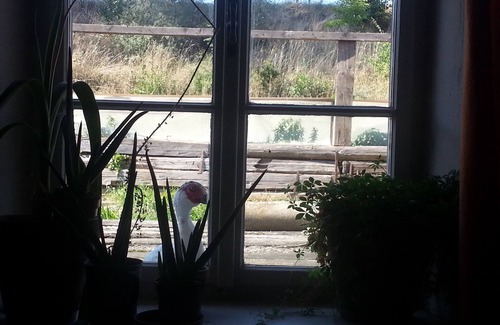 Bischofstetten Apartment | Holidays among happy animals!