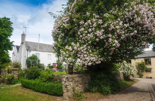 Tawstock Bed & Breakfast | Hollamoor Farm