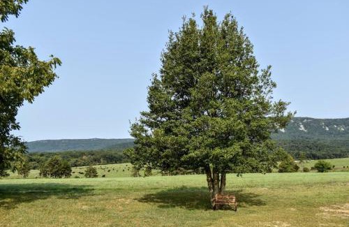 Luray House | Holly Tree Retreat Located In Beautiful Luray, VA.