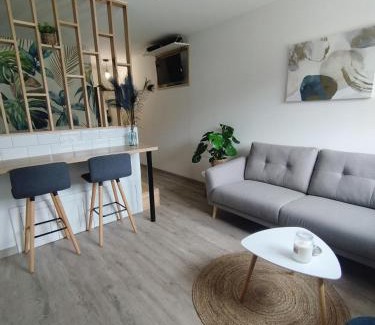 Plantieres Queuleu Apartment | Home Suite Metz & Place de parking privée