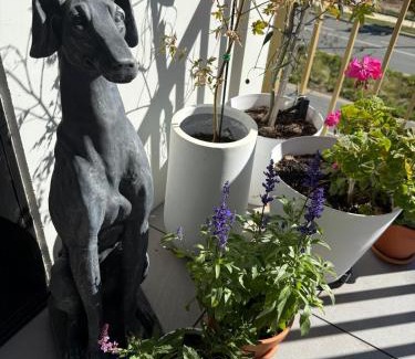 Googong Apartment | Home - Yard Apartment - Googong & Queanbeyan