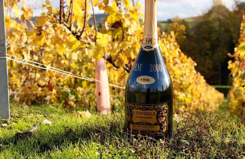 Moussy House | Homerez - Nice house for 7 ppl. with garden and terrace at Moussy