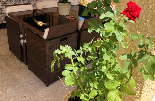 Olocau Villa | Homerez - Villa for 8 ppl. with swimming-pool, garden and terrace at Olocau