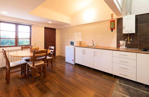 Sao Pedro do Sul Villa | Homerez - Villa for 16 ppl. with swimming-pool and terrace at São Pedro do Sul