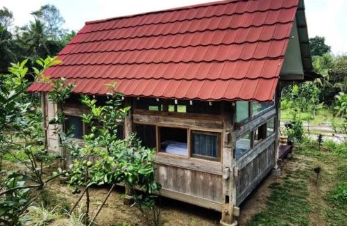 Kalipuro House | Homestay Ijen Lemon House
