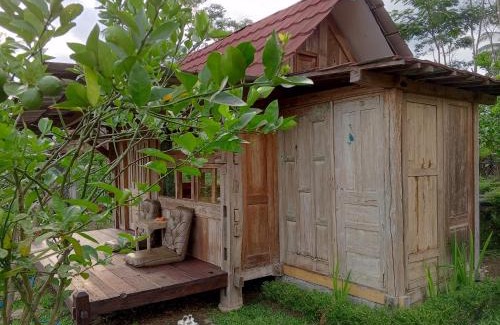Kalipuro House | Homestay Ijen Lemon House