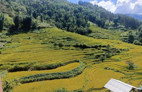 Sa Pa Cabin | Homestay Núi Đá Tả Phìn