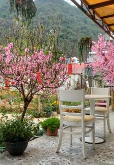 Moc Chau House | homestay PHượng CHiến