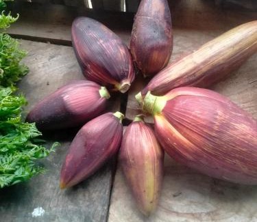 Lam Binh House | Homestay trọng hiếu