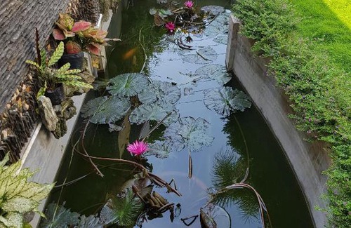 Chau Doc House | HOMESTAY VILLA