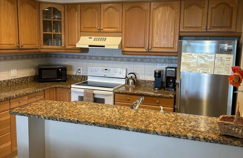 Maple City Condo | Homestead condo, Beautiful View of Lake MI & Manitou Island