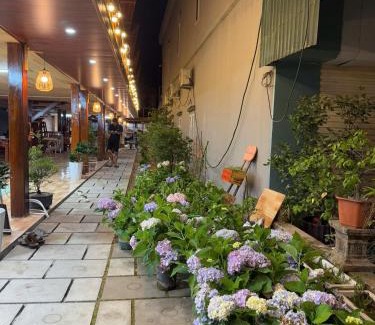 Co To House | Honey Homes CÔ TÔ