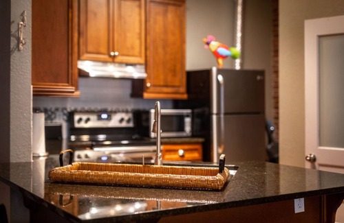 Ozark Apartment | Honeymoon Downtown Boutique Loft - Located in the Historic River District.