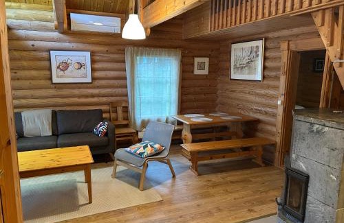 Jamsa Apartment | Honkaranta Himos Jämsä