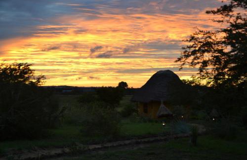 Pakwach Cabin | Hornbill Bush Lodge