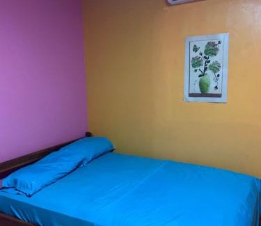 Colon House | Hostal Don Oscar