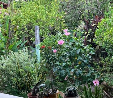 Suchitoto House | Hostal El Amate #3