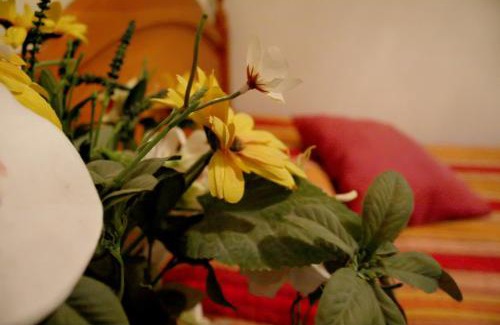 Valladolid House | Hostal Ramón y Cajal
