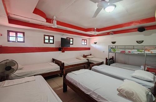 Leon House | Hostal Ruinas de San Sebastián