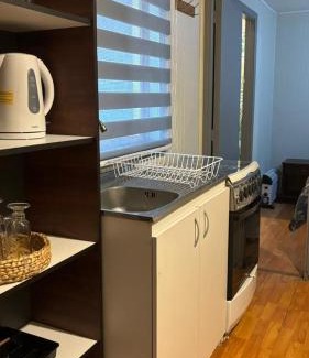 Temuco Apartment | Hostal Verde Bendito Depto 4 Temuco