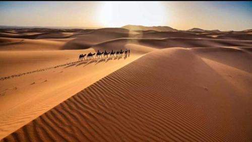 Hassilabied Hotel | hostel sable dor merzouga