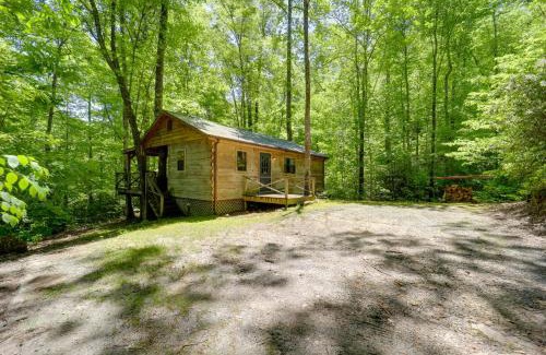 Vein Mountain House | Hot Tub and On-Site Trails Secluded Marion Cabin