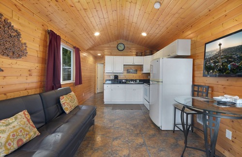Union Cabin | Hot Tub Cabin #11