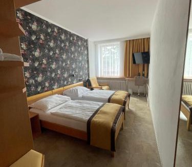 Velke Bilovice Hotel | Hotel Akademie a depandance Vila Jarmila