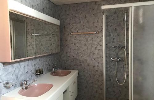 Wildhaus-Alt St. Johann Hotel | Hotel Alpina