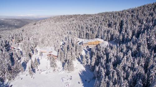 Samokov Hotel | Hotel Alpinist, Malyovitsa