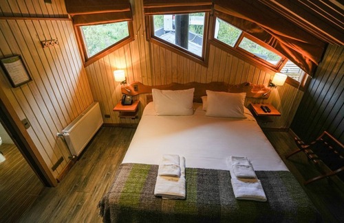 Puerto Raul Marin Balmaceda Cabin | Hotel Alto Melimoyu