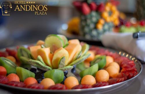 Florencia Hotel | Hotel Andinos Plaza Florencia