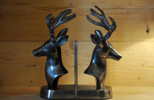 Gstaad Hotel | Hotel Arc-en-ciel Gstaad