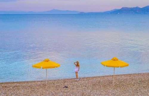 Avlakia Hotel | Hotel Avlakia