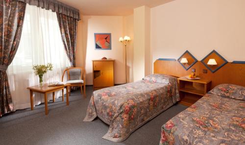 Jindrichuv Hradec Hotel | Hotel Concertino Zlatá Husa