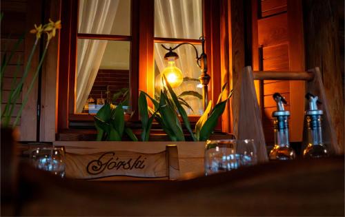 Wolborz Hotel | Hotel Górski