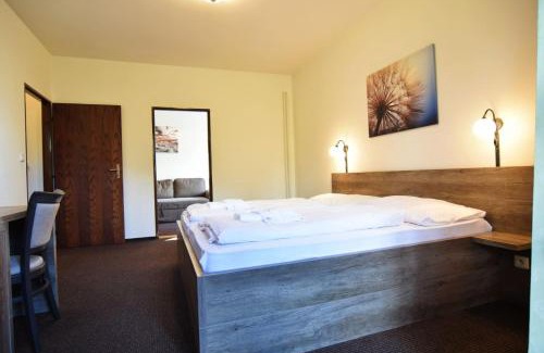 Ricky v Orlickych horach Hotel | Hotel Konšel