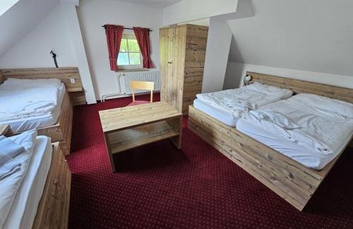 Ricky v Orlickych horach Hotel | Hotel Konšel