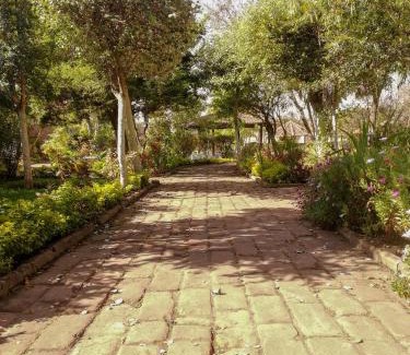 Chimborazo Province Hotel | Hotel La Primavera