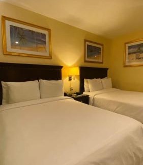Punto Fijo Hotel | Hotel Las Palmas Inn