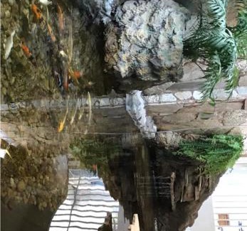 Fronteira Hotel | Hotel Luz