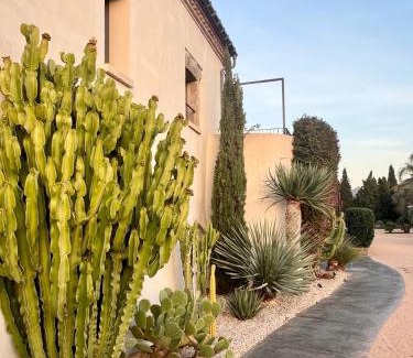 Pau Hotel | Hotel Mas Lazuli by Fimedhotels